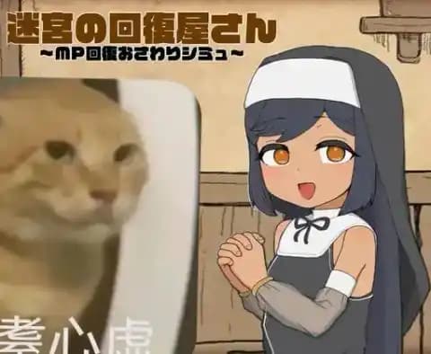 迷宮の回復屋さん 迷宫的回复屋先生 AI汉化版