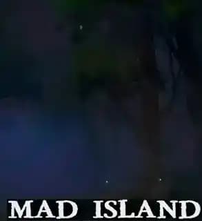 疯狂岛 Mad Island v0.4.1 正式版+DLC